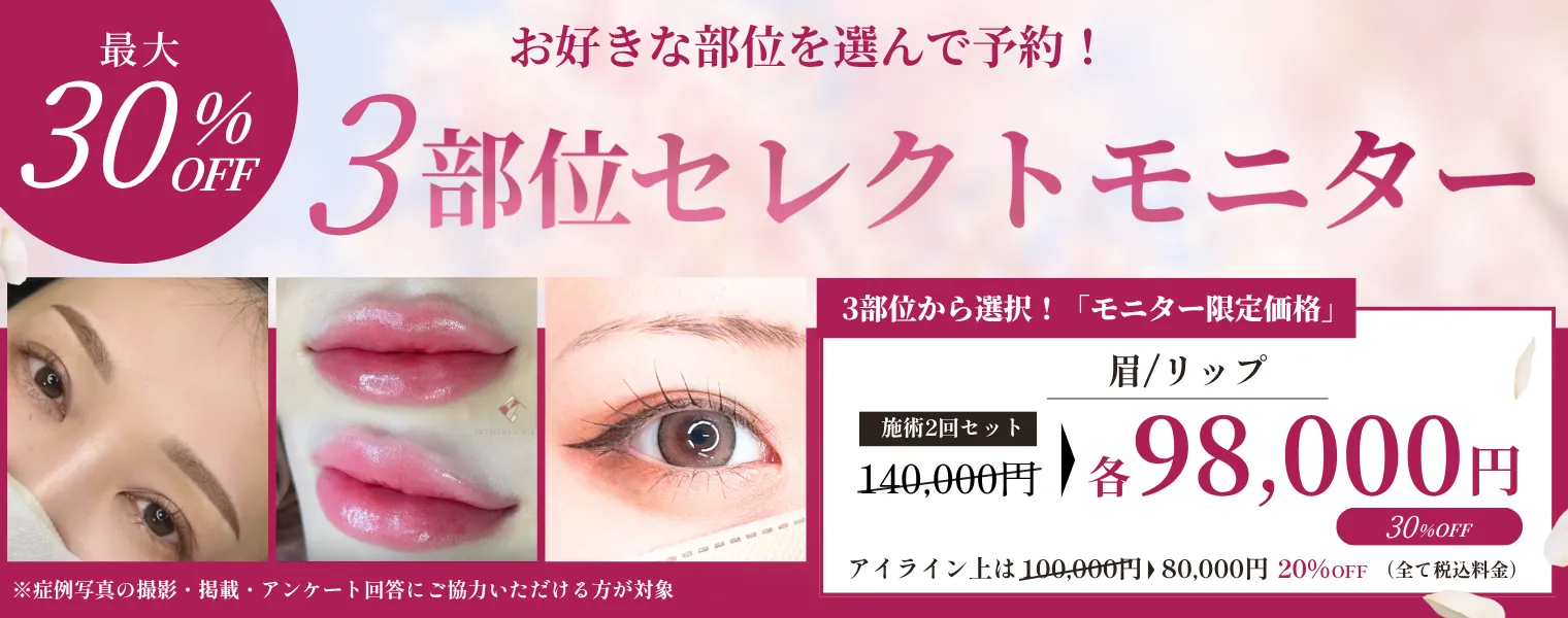 3部位セレクトモニター　眉／リップ／アイライン 98,000円