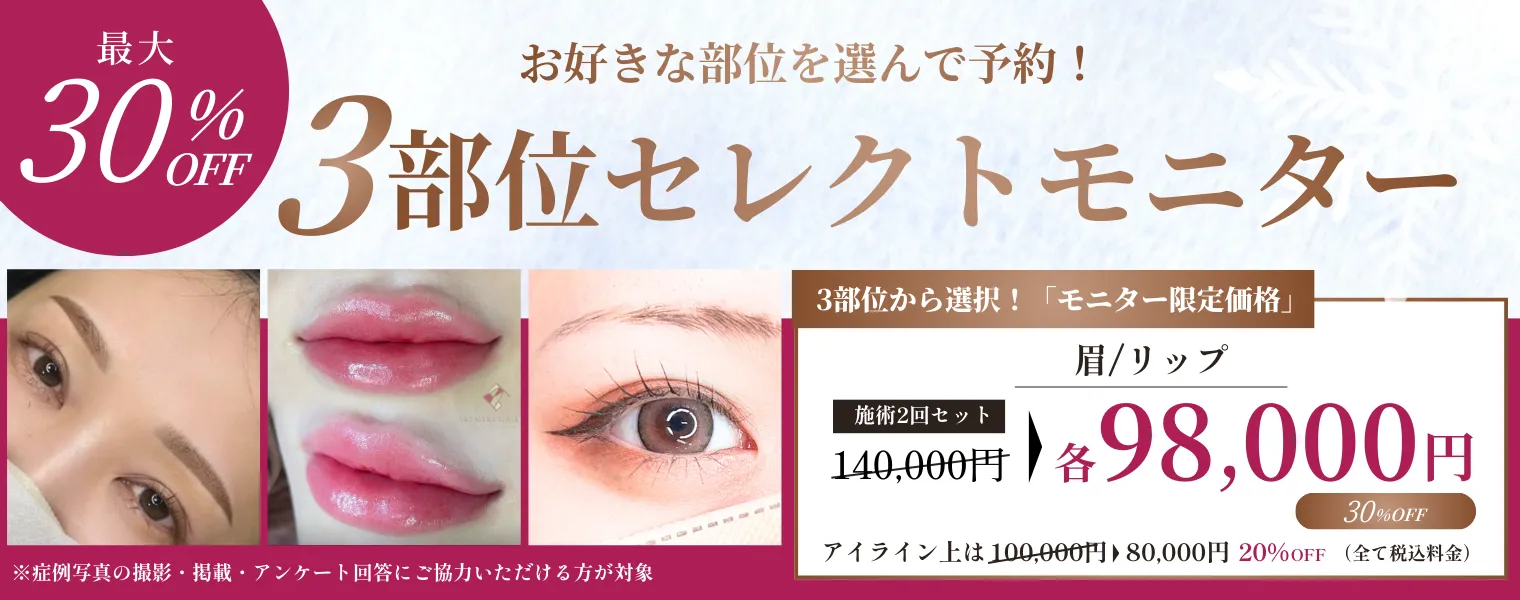 3部位セレクトモニター　眉／リップ／アイライン 98,000円