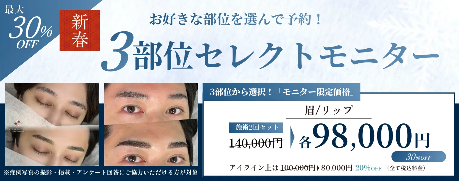 3部位セレクトモニター　眉／リップ／アイライン 98,000円